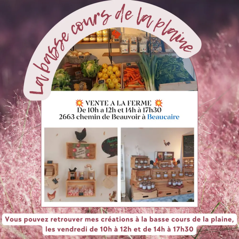 La Basse Cours De La Plaine